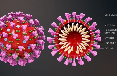 Virus Corona là gì? Những câu hỏi liên quan trực tiếp đến virus này chúng ta nắm rõ để phòng tránh