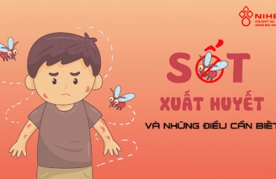Hướng Dẫn Cách Phân Biệt Sốt Xuất Huyết Và Sốt Do Virus Covid-19 Gây Ra